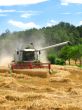 farmer