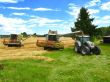 agriculture
