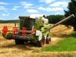 agricultural economy