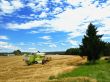 agricultural economics