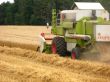 harvest