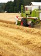 harvesting