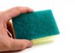 Sponge