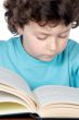 Adorable boy studying