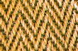 carpet texture
