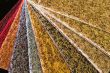 carpet swatch