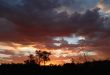 African sunset