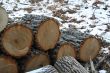 Wood pile