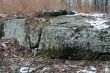 Boulder in the woods