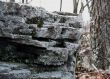 Boulder in the woods