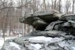 Boulder in the woods