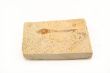 Fossil Fish