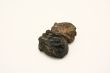 Meteorites