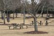 Empty Park