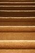 Carpeted staircase