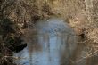 The Stream