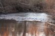 Stream Rapids