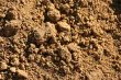 Sand pile