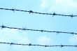 Barbed Wire Against Sky
