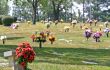 Flowers for the Dead