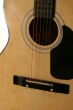 Acoustic Guitar