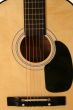 Acoustic Guitar