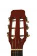 Acoustic Guitar Head