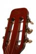 Acoustic Guitar Head