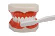dentures, brush your teeth