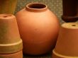 round terra cotta pot among other flowerpots