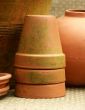 stack of mossy terra cotta flowerpots