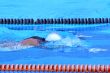 Swimmer