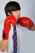 The fighter
