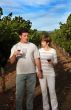 Couple At Vineyard