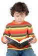 Adorable boy studying