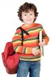 Adorable child studying