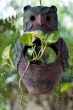 garden decoration