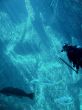 scuba diver