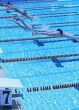 swimmer