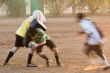 rugby players