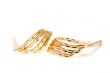 ear ring