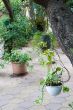 garden decoration