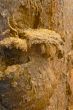 insulation closeup