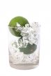  Limes and Ice In A Glass