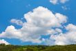 Summer landscape