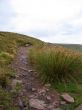 Stone walkway in Wales