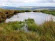 Small Lake in Wales