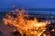 beach campfire