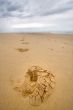 footprints on a wild beach