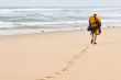 beach traveller
